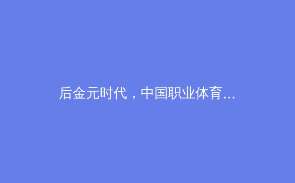 后金元时代，中国职业体育的十字路口：从资本狂飙到价值重构的深度思考 - 4